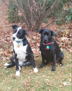Chase and Zoe